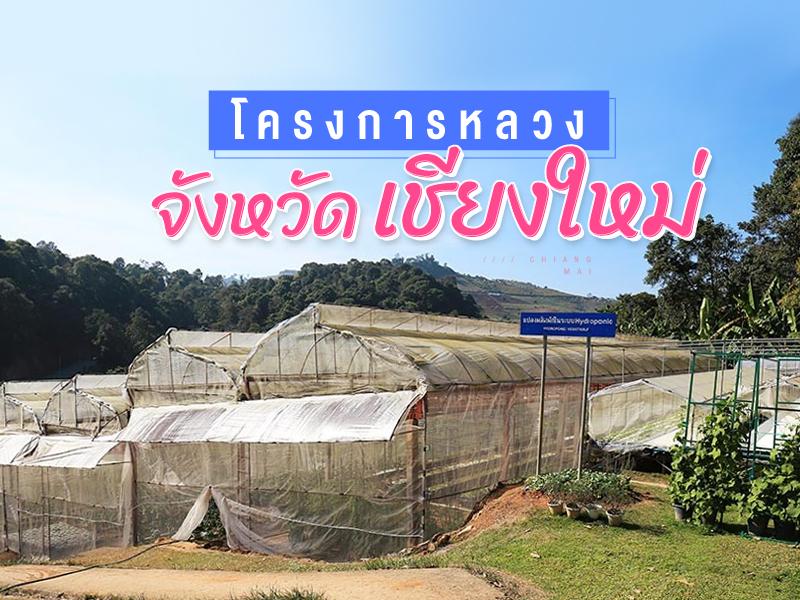โครงการหลวง จังหวัดเชียงใหม่